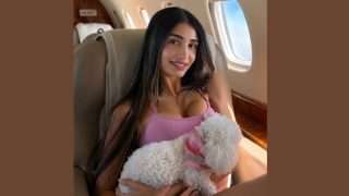 Woman with long dark hair in a pink tank top on a private jet, cuddling a fluffy white dog.
